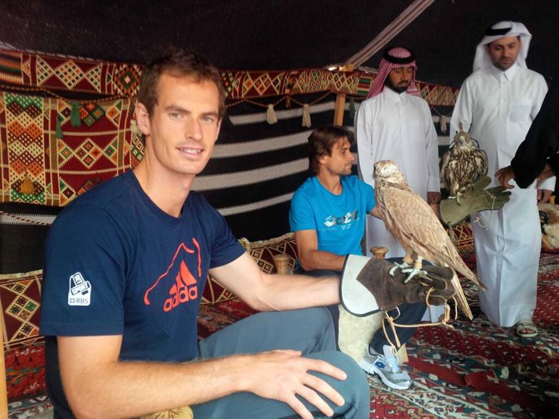 Sessione fotografica con i falchi tanto cari agli emiri del Qatar, invece, per Andy Murray e David Ferrer. Twitter